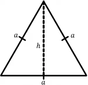 triángulo-funciones