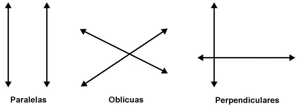 Ejemplos De Rectas Paralelas Perpendiculares Y Oblicuas Cf8 2263